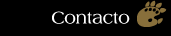 Contacto